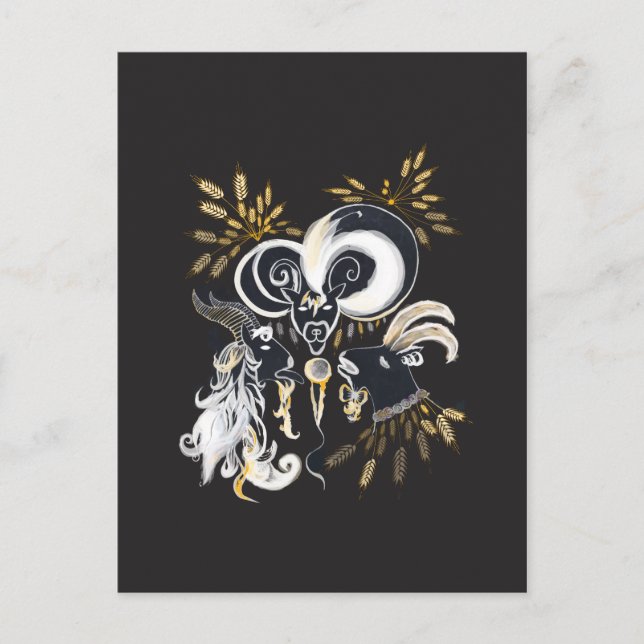 Black and white Singing Goats ink illustration Postcard (Front)