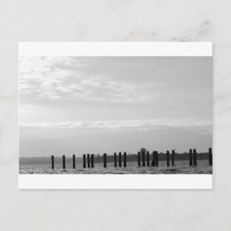 Black and White Sky Posts Postcard