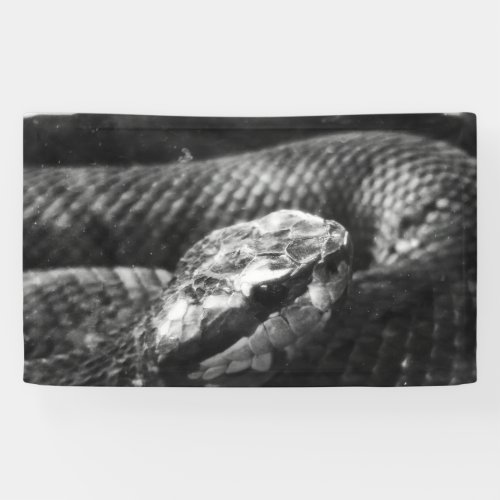 Black and white snake banner