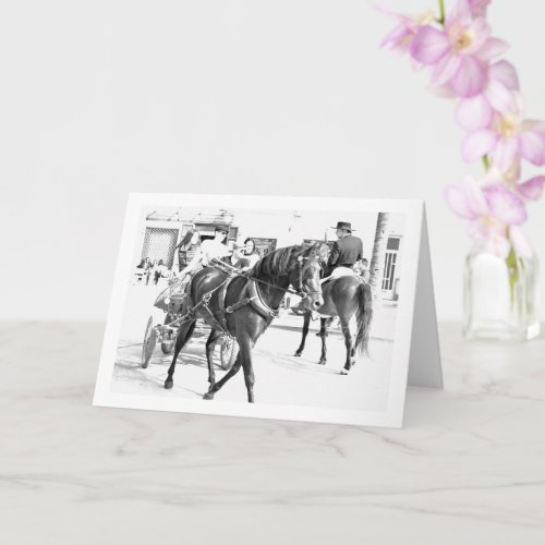 Black and White Spanish Horses Portrait Card