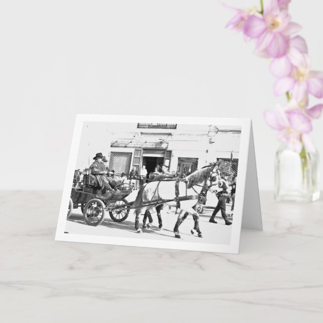 Black and White Spanish Horses Portrait Card (Orchid)