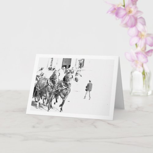 Black and White Spanish Horses Portrait Card