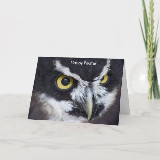 Black and White Specacled Owl Easter Holiday Card