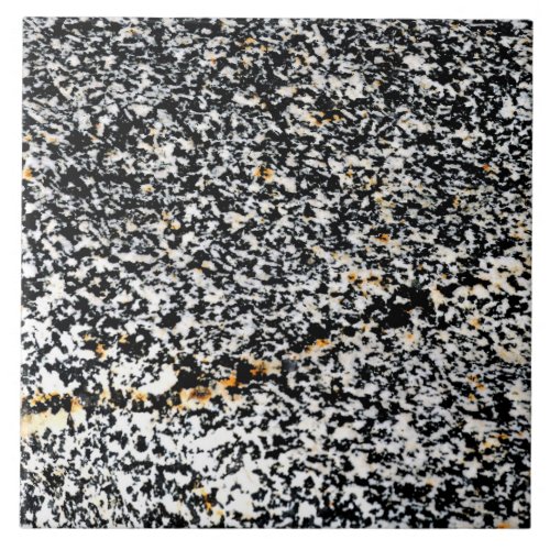 Black and White Speckled Rock Photo Ceramic Tile