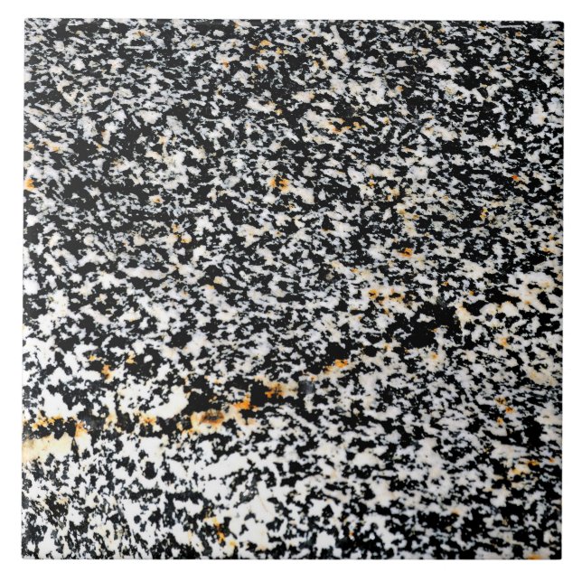 Black and White Speckled Rock Photo Ceramic Tile (Front)