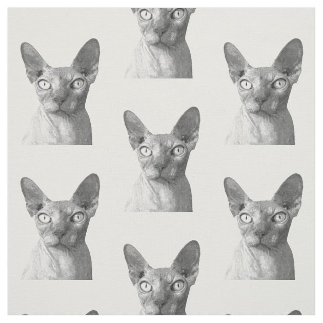 Sphynx cat fabric hotsell