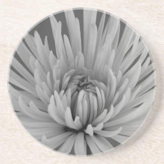 Black and White Spider Mum  Drink Coaster