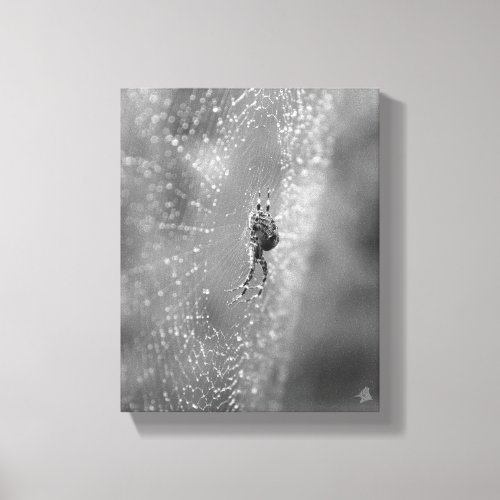 Black and White Spider on its Dewy Web Canvas Print