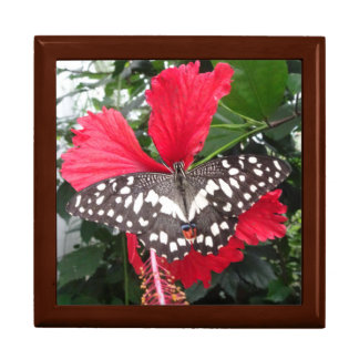 Black and White Spotted Butterfly Keepsake Box
