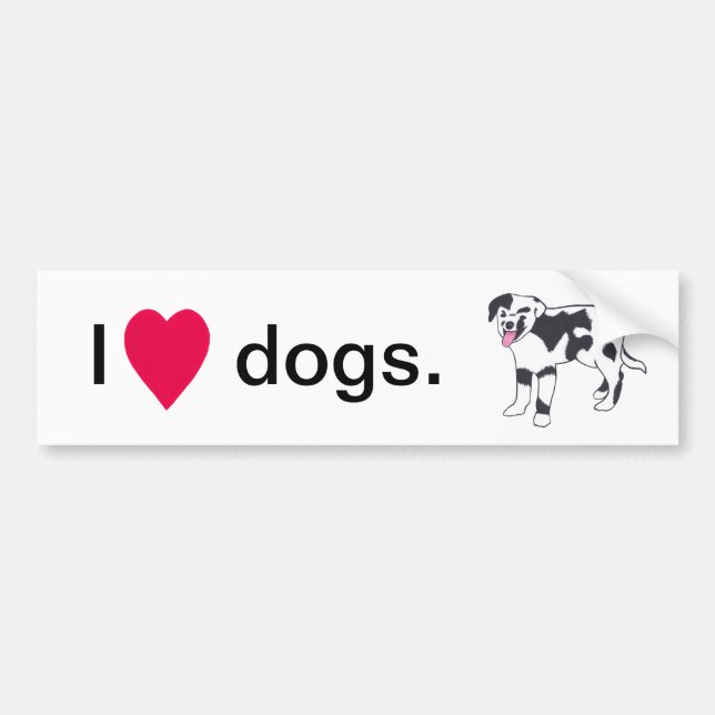 Black and White Spotted Dog Bumper Stickers (Front)