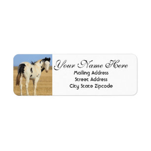 Black and White Spotted Horse Return Address Label