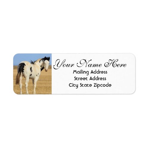 Black and White Spotted Horse Return Address Label