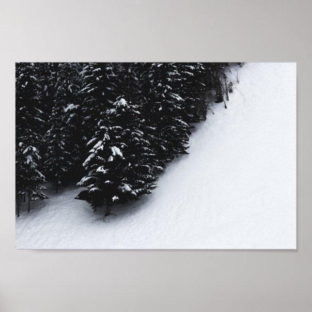 Black and white spruce forest and snow poster (Front)