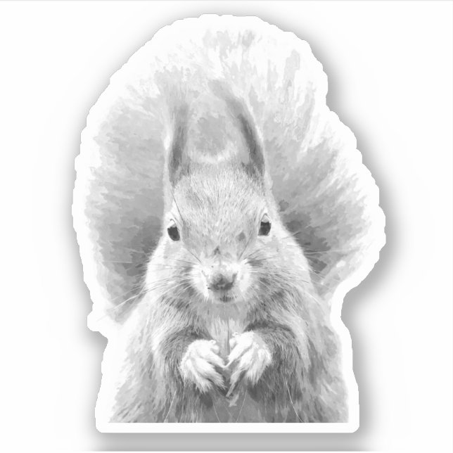 Black and White Squirrel Sticker (Front)