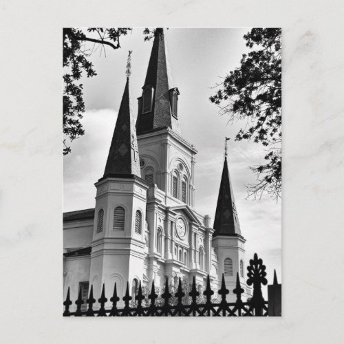 Black and White St Louis Cathedral New Orleans Postcard