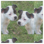 Black And White Staffordshire Bull Terrier Puppies Fabric