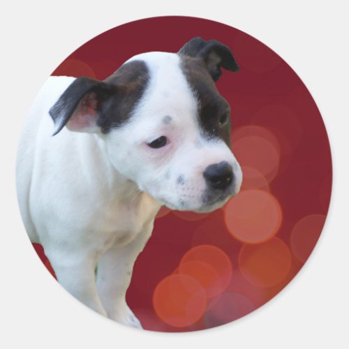 Black And White staffordshire Bull Terrier Puppy Classic Round Sticker