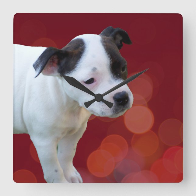 Black And White Staffordshire Puppy, Square Wall Clock (Front)