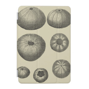 Black and White Starfish iPad Mini Cover