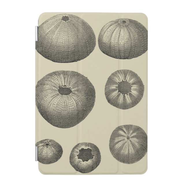 Black and White Starfish iPad Mini Cover (Front)