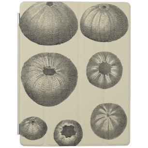 Black and White Starfish iPad Smart Cover