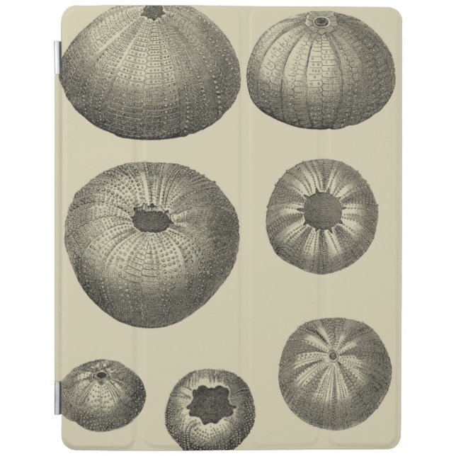 Black and White Starfish iPad Smart Cover (Front)