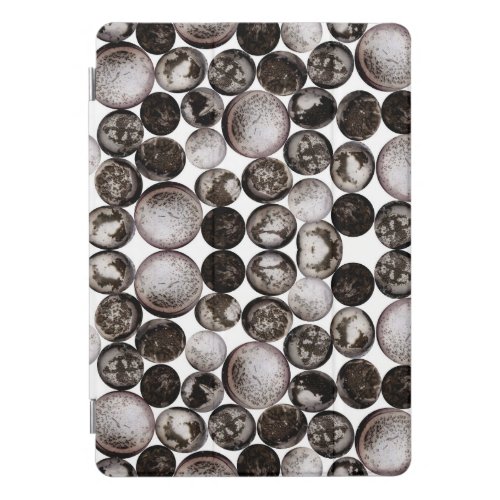 Black And White Stone Pattern iPad Pro Cover