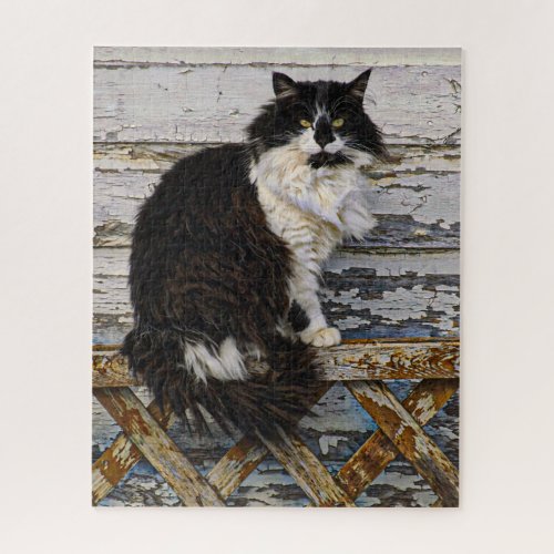 Black and White Stray Cat on Wood Lattice Fence Jigsaw Puzzle