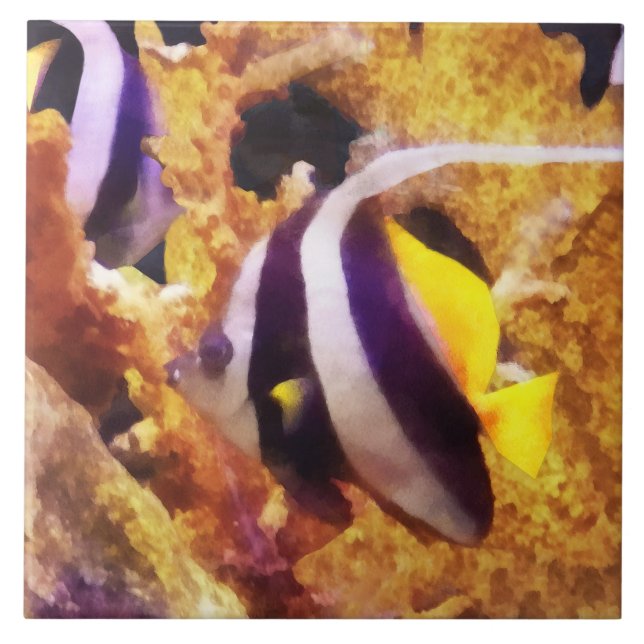Black and White Striped Angelfish Ceramic Tile (Front)