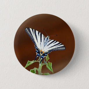 Black and White Striped Fantail Butterfly Button