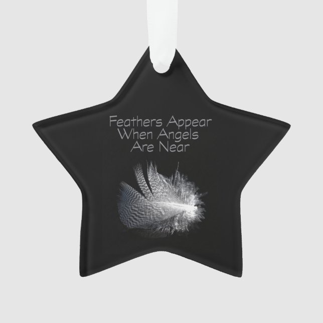 Black and White Striped Feather Floating on a Pond Ornament (Front)