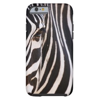 Black and White Striped Zebra iPhone 6 Case