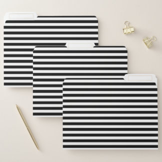 Black and White Stripes File Folder
