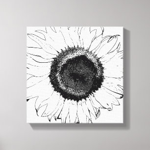 Black and White Sunflower Canvas Print