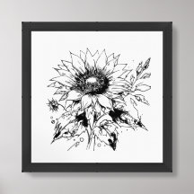 Black and White Sunflower