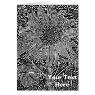 black and white sunflower original modern art cards