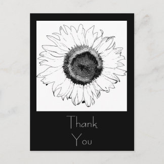 Black and White Sunflower Thank You Postcard