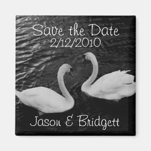 Black and White Swans Save the Date magnet