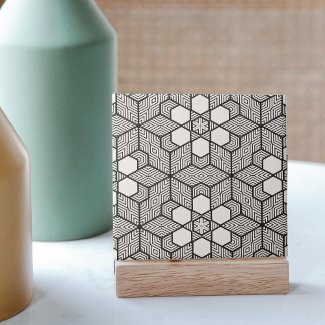 Black and White Symmetrical Geometric Mosaic