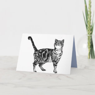 Black and White Tabby Cat Birthday Card