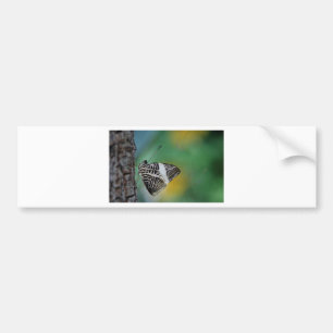 Black and White Tiger Butterfly Bumper Sticker