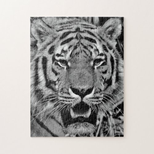 Black and White Tiger Face Jigsaw Puzzle