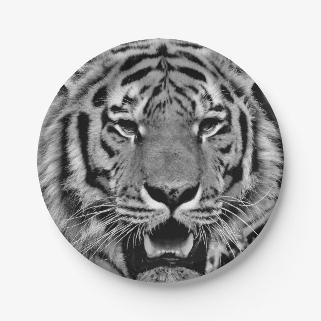 Black and White Tiger Face Paper Plates (Front)