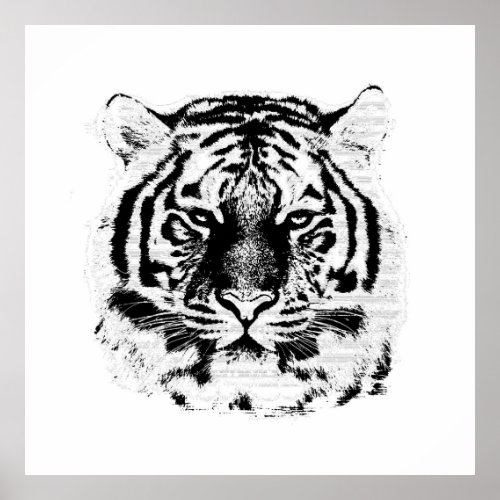 Black and White Tiger Face Poster