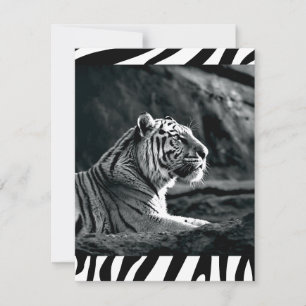 Black and white tiger holiday card