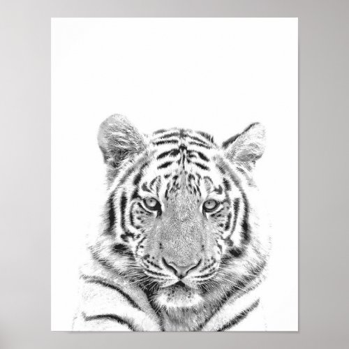 Black and White Tiger Portrait Poster