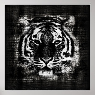 Black and White Tiger Vintage Posters