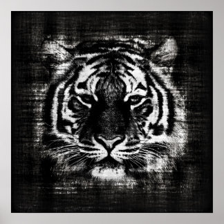 Black And White Tiger Vintage Posters Black And White Tiger Vintage Posters