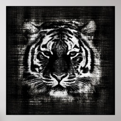 Black and White Tiger Vintage Posters | Zazzle