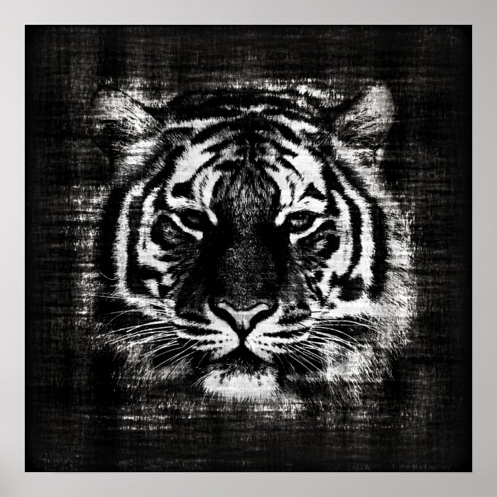 Black and White Tiger Vintage Posters Zazzle